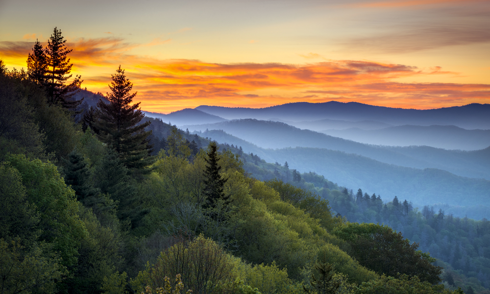 The Only Great Smoky Mountain National Park Map and Guide You Need for