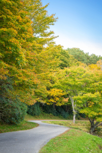 scenic autumn path around Bass Lake in Blowing Rock, North Carolina