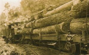 railway used to move the timber from steep mountain slopes to mills in the foothills