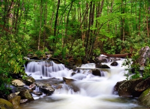 cascades in Sevierville