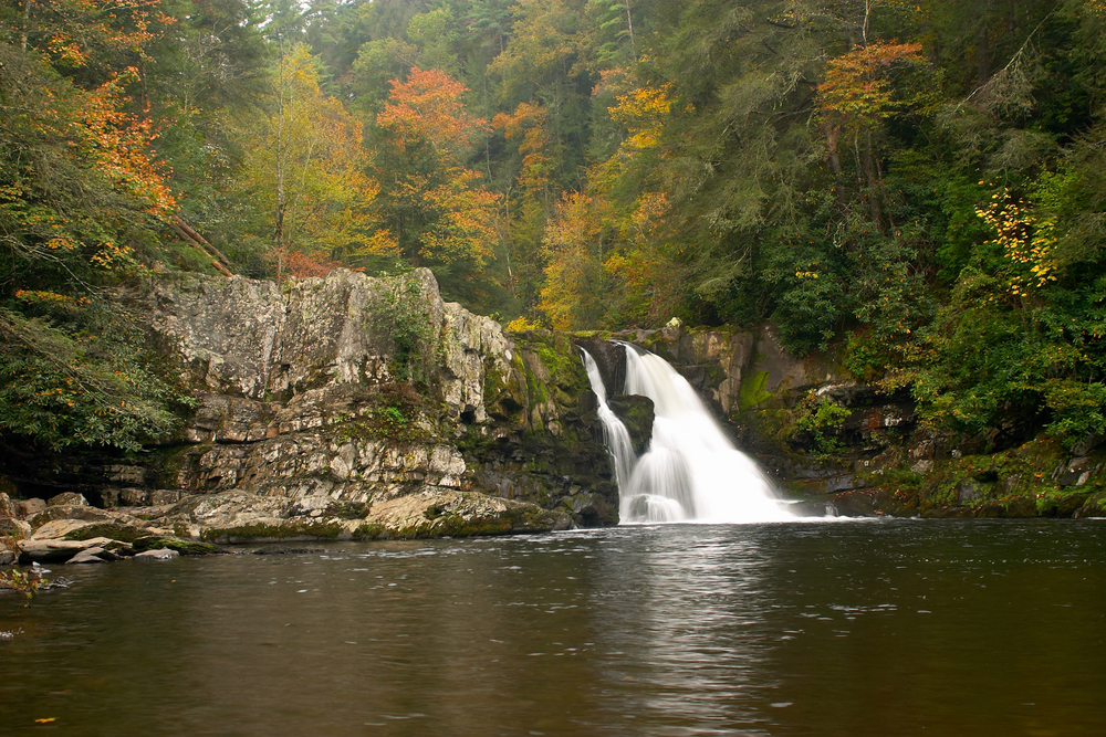 Abrams Falls Trail