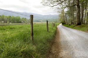 Country Road in Cades Cove