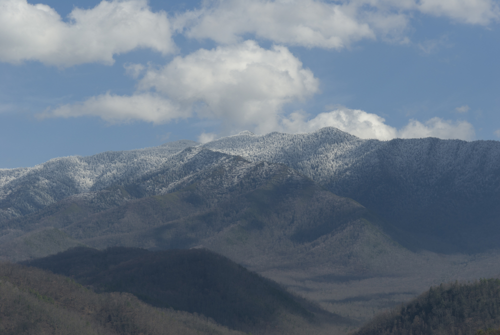 Top 3 Views From a Mt LeConte Webcam