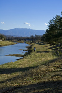 Little Pigeon River flowing through the mountains