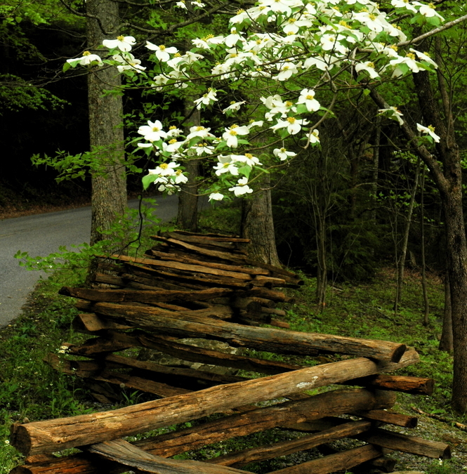 Old Settlers Trail