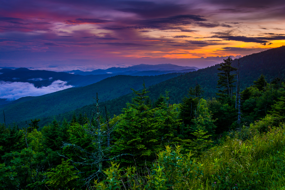 What Smoky Mountains Weather Should You Expect During Your Vacation?