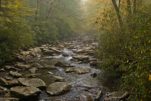 Alum Cave Bluffs Trail gsmnp - Alum Bluff 62202283 