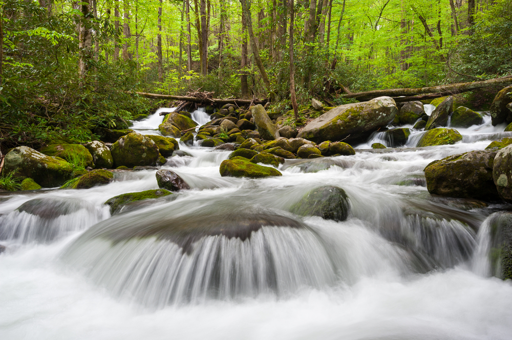 Great Smoky Mountains National Park Vista