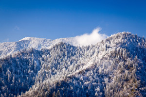 snowy Mt LeConte mountaintop