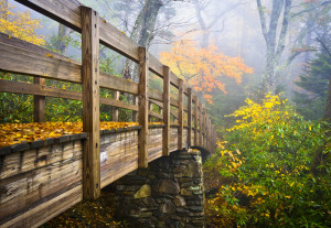 view of bridge during ranger-led hike at Smoky Mountain visitor center